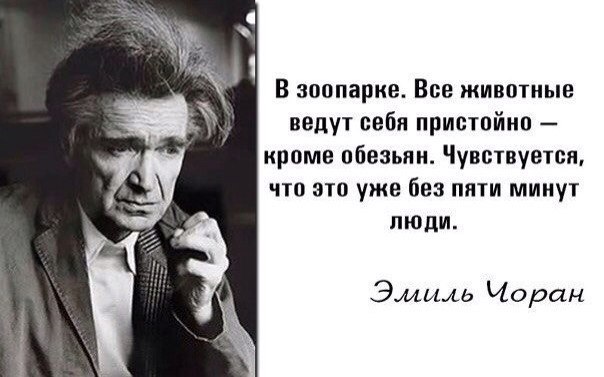 В зоопарке