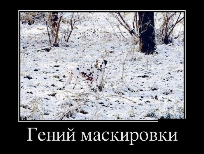 Гений маскировки