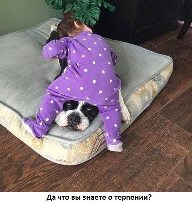 Терпение