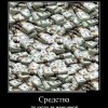 Средства по уходу за женщиной Средства по уходу за женщиной