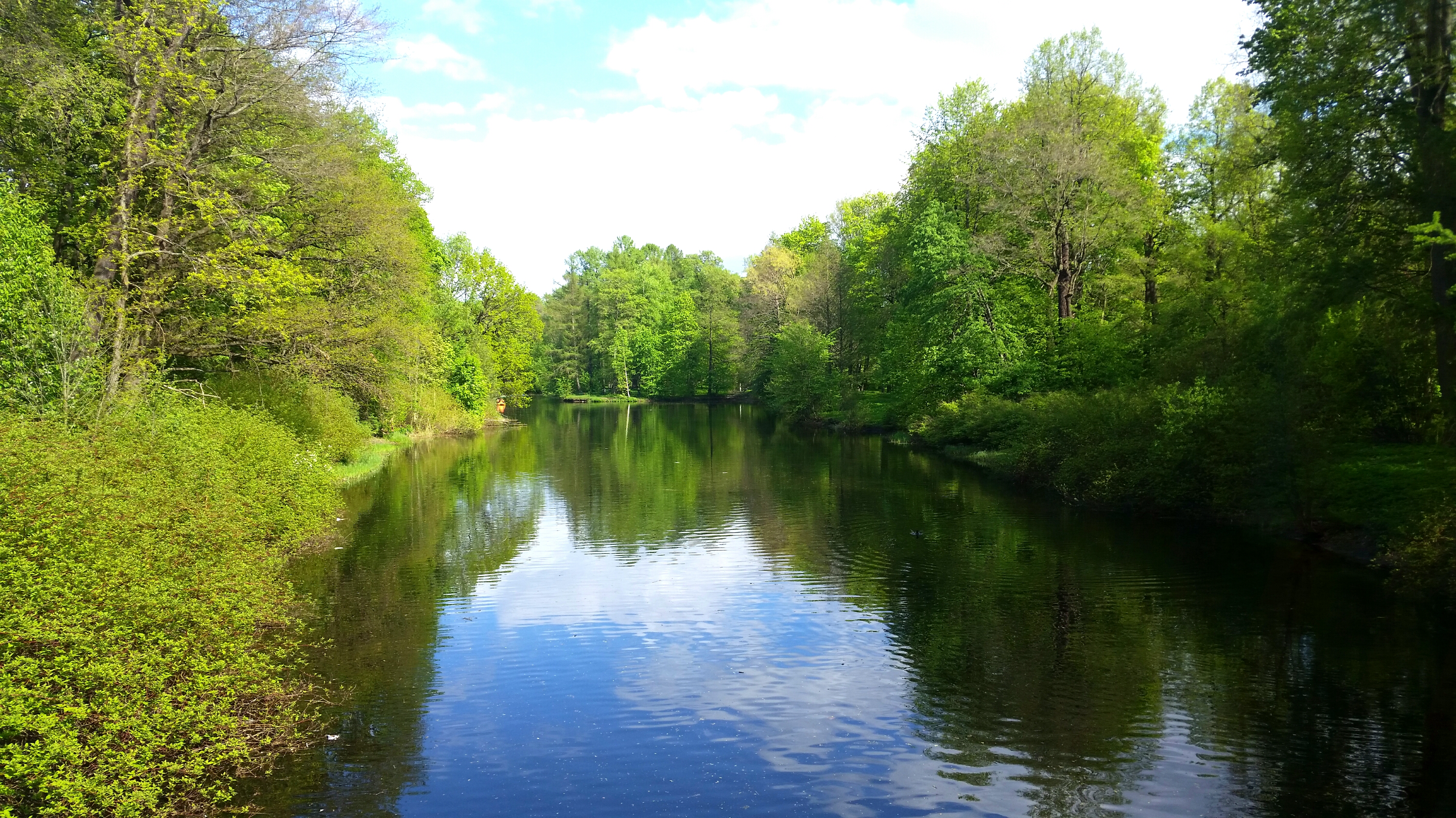 Моё, Санкт-Петербург, город, хорошо