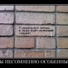 Несомненно особенный Несомненно особенный