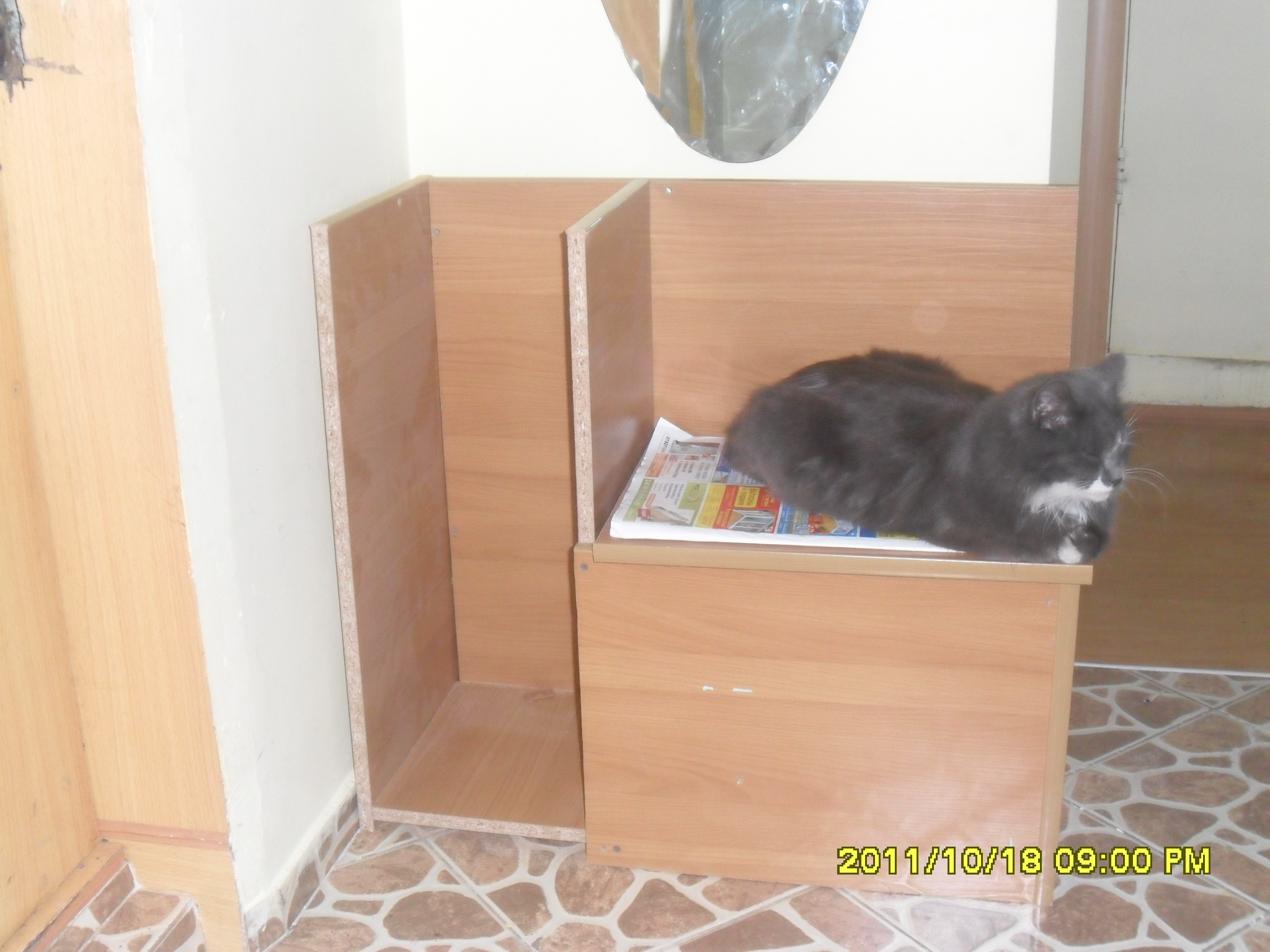 в ожидании хозяйки