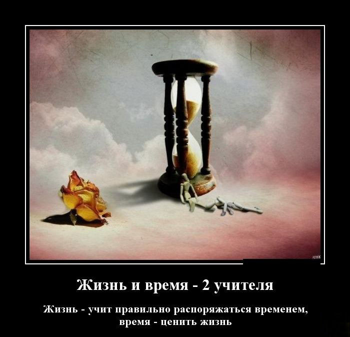 Жизнь и время