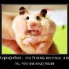 Херофобия