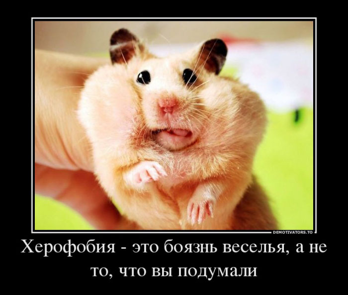 Херофобия