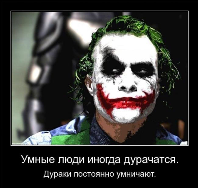 Умные и дураки
