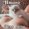 Няшно Няшно