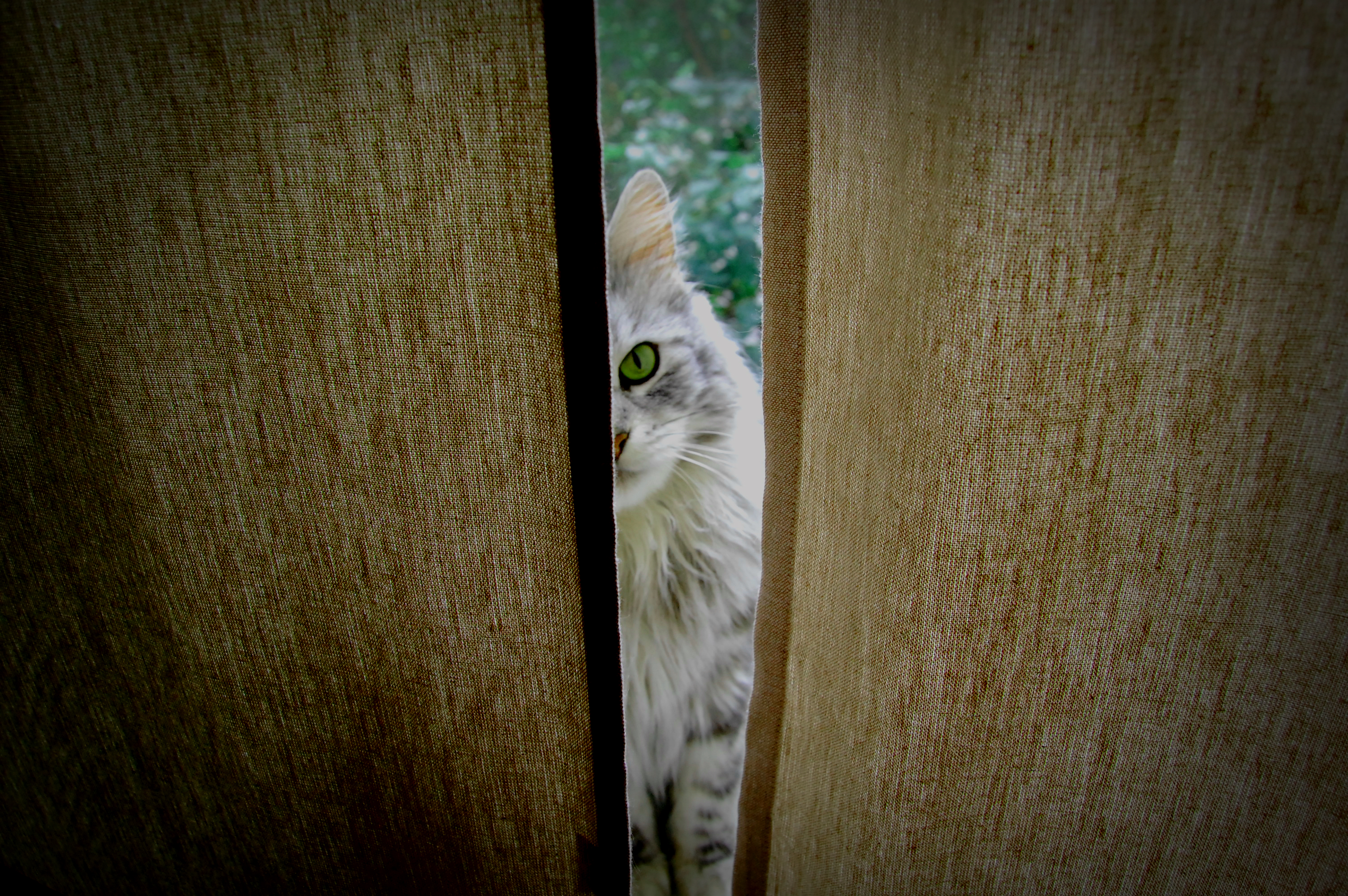 Я тебя вижу!