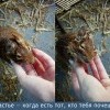 Счастье Счастье