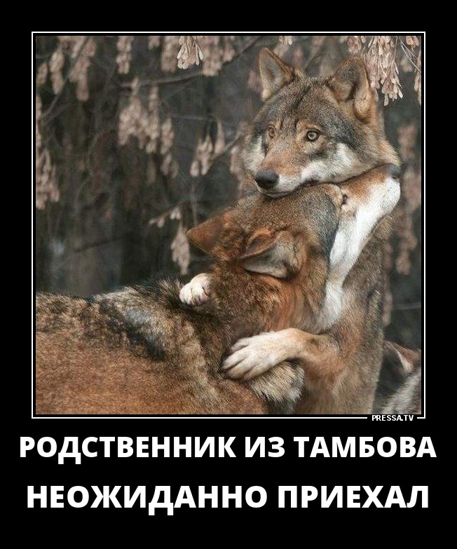 Неожиданный родственник