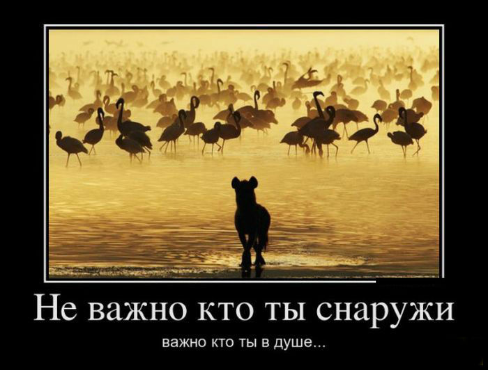 Важно-кто ты в душе