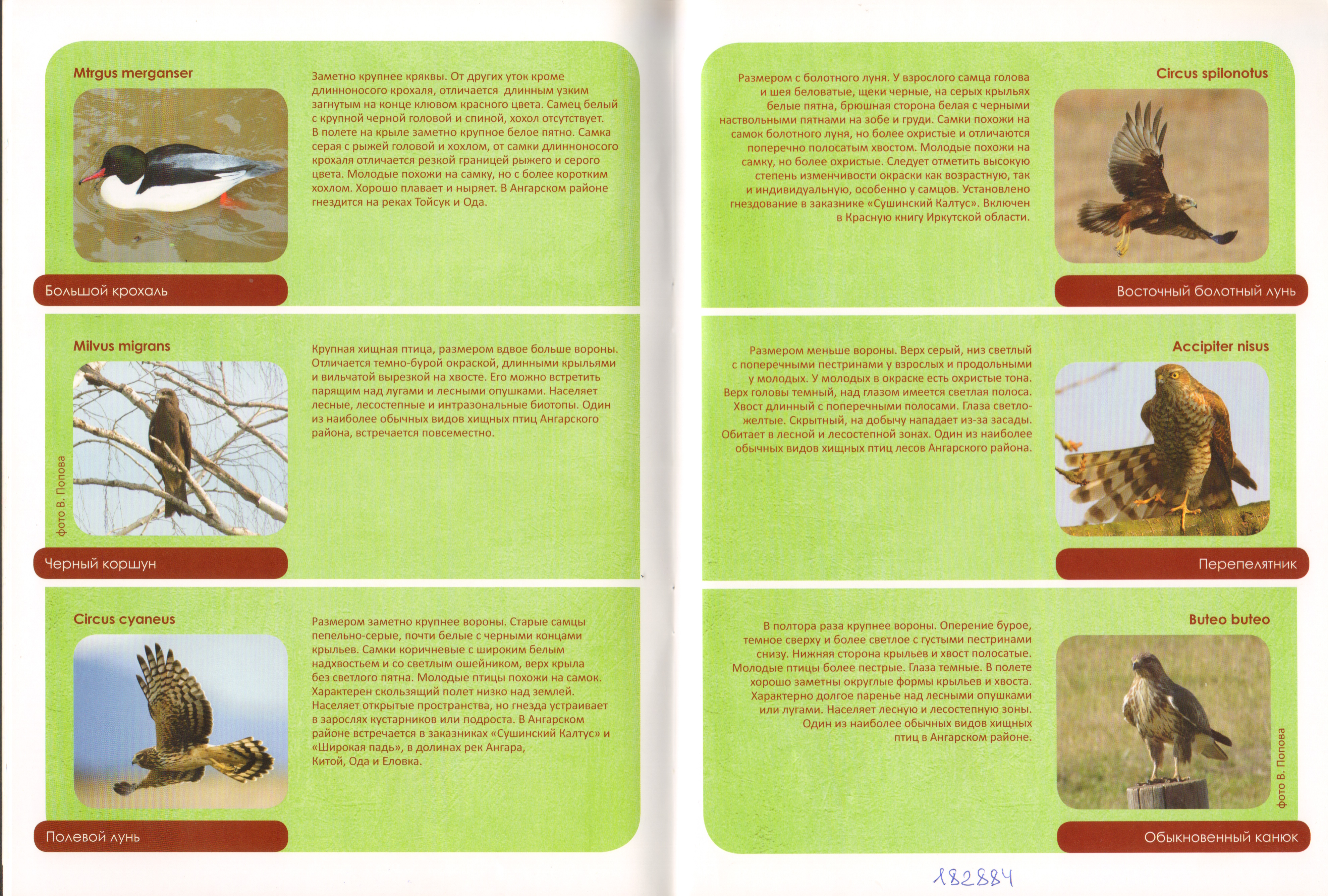 Животный мир Ангарского района 08