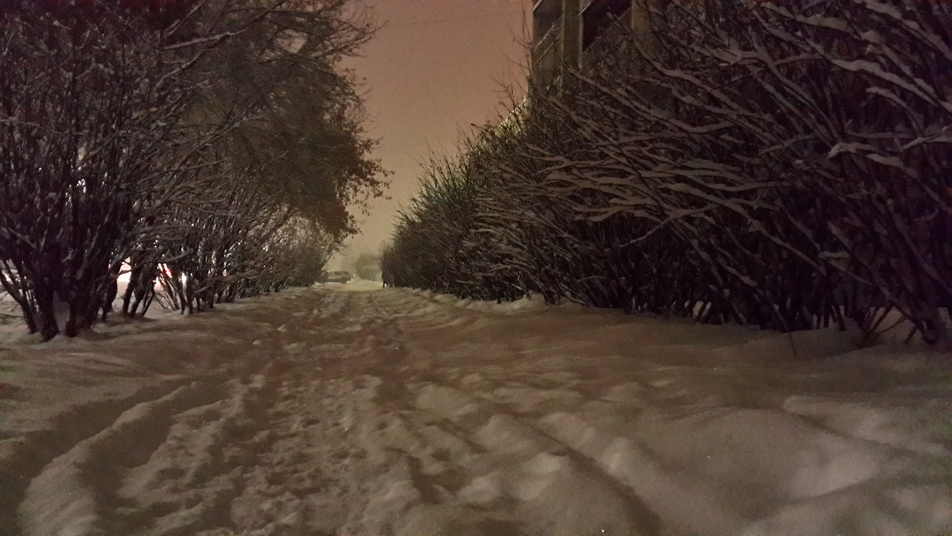 снежное утро