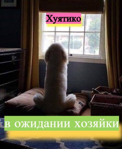 х+18ятико)))))