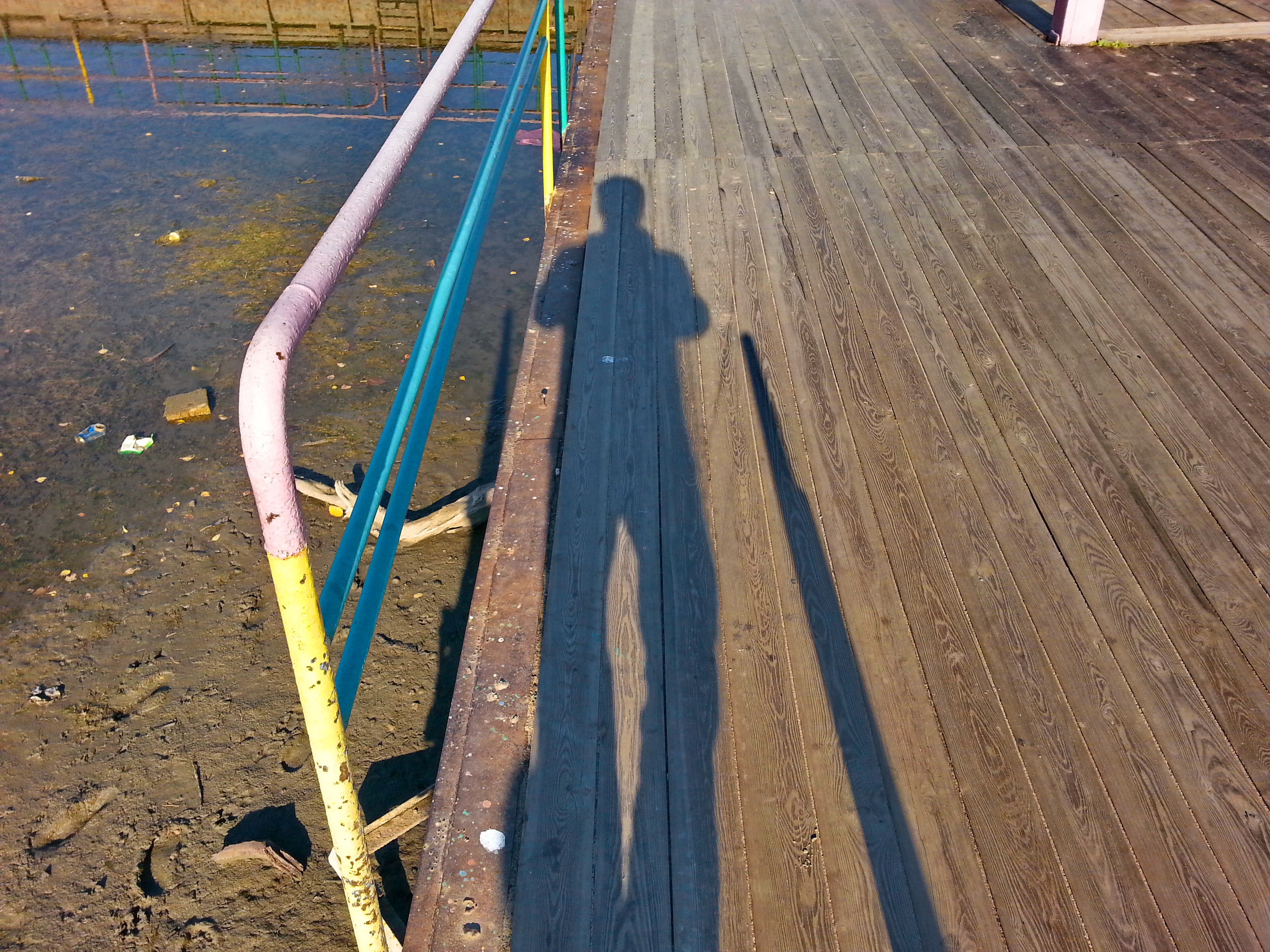 Сирёгина тень деревянопоручневая)))))