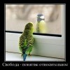 Понятие-свобода