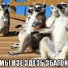 Узбагойся)))))) Узбагойся))))))
