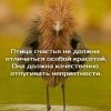 Птица Счастья