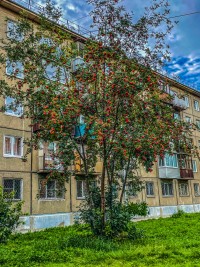 Когда горят костры рябин? Когда горят костры рябин?