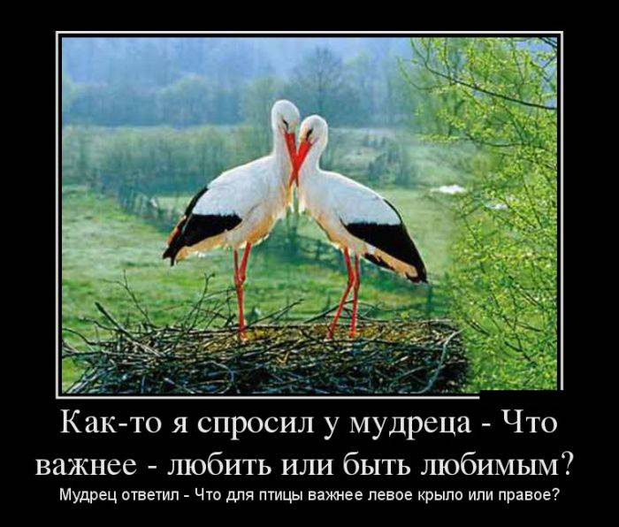 Мудрец ответил