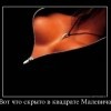 Черный квадрат(продолжение)
