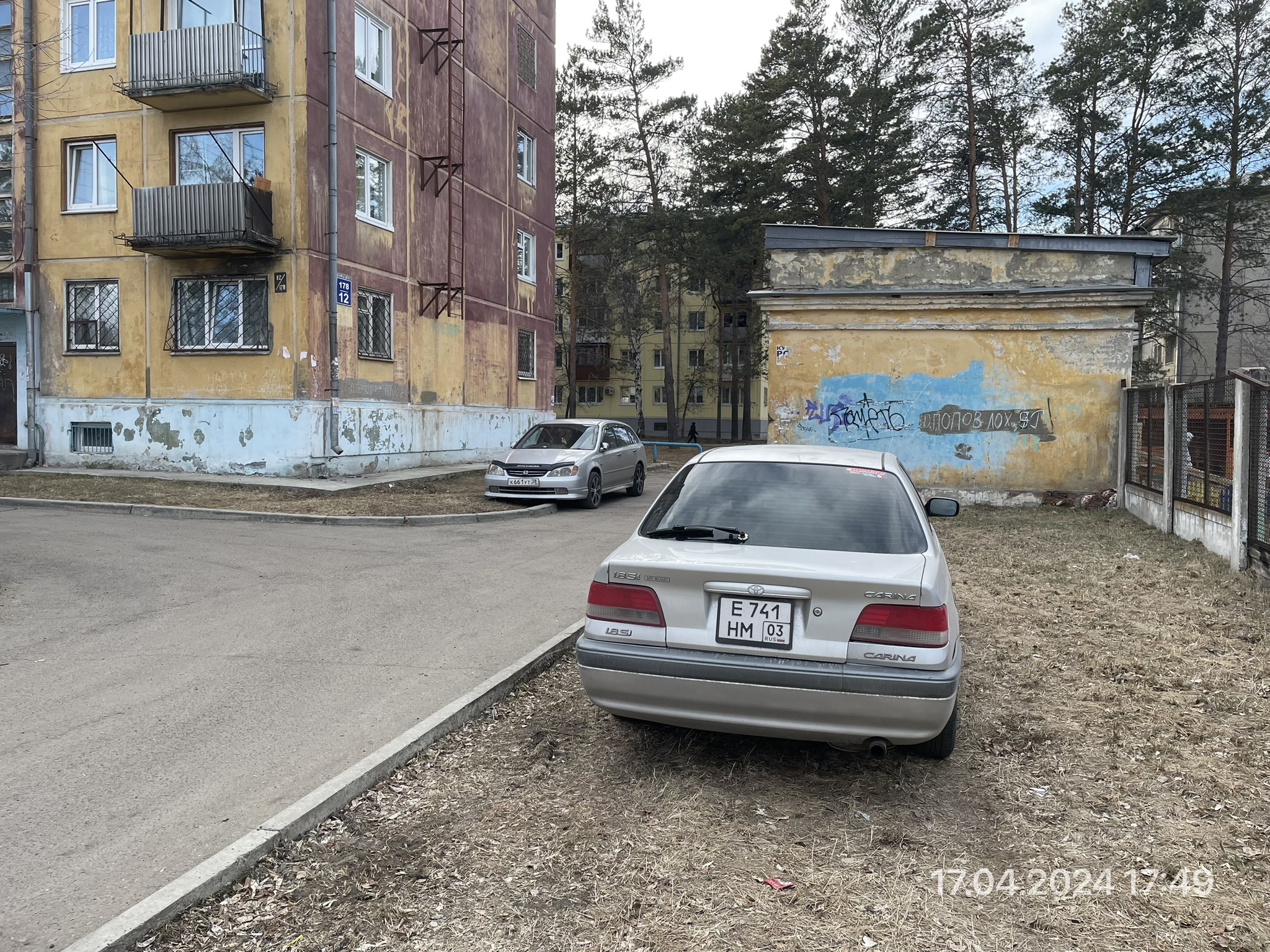 Сивнья на газоне