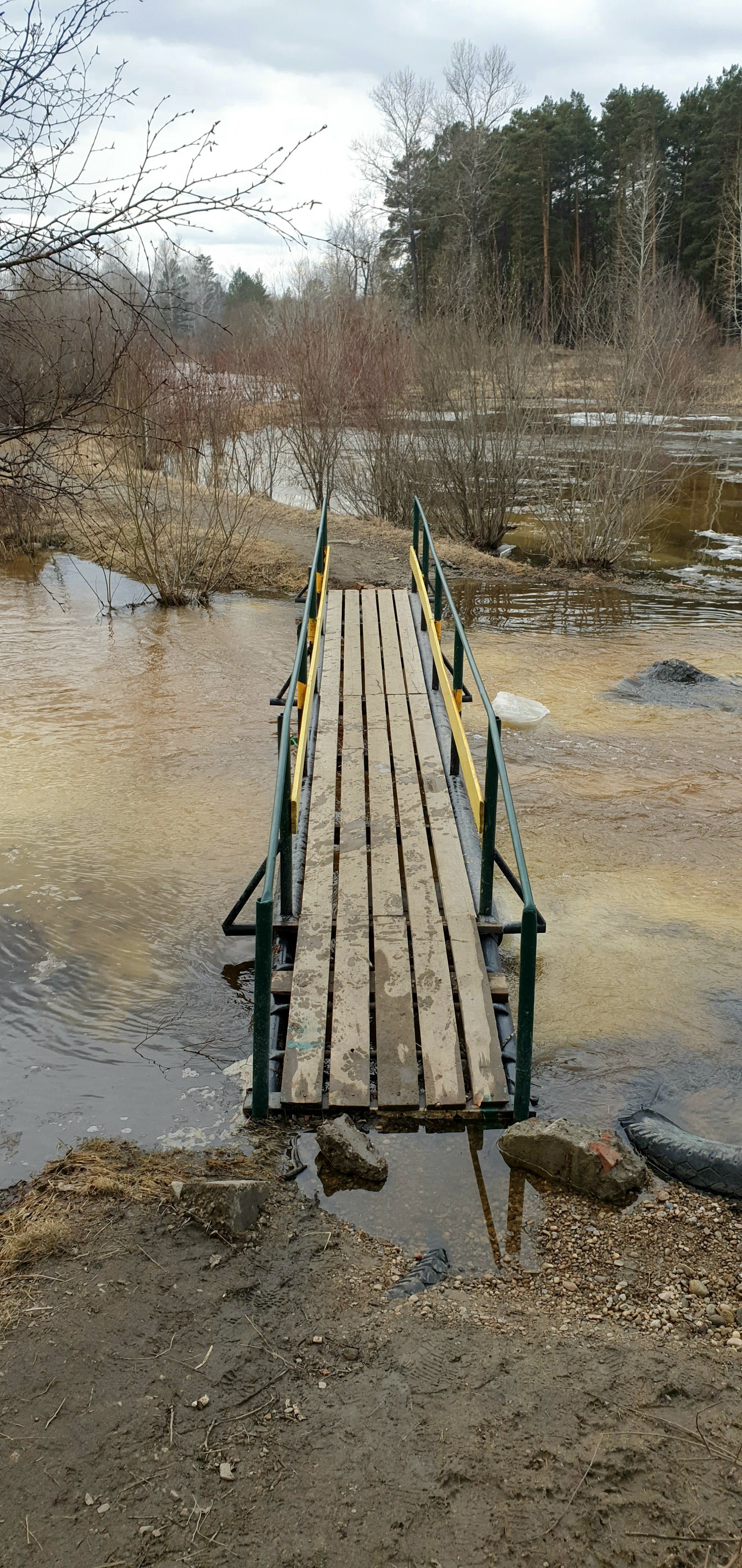 мост водокачечный апрельский 2020
