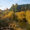 Еловка осень 2018)))))) Еловка осень 2018))))))