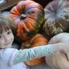 IMG 1375 IMG 1375