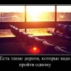 Дороги Дороги