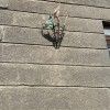 Крайне некрасивый внешний вид
