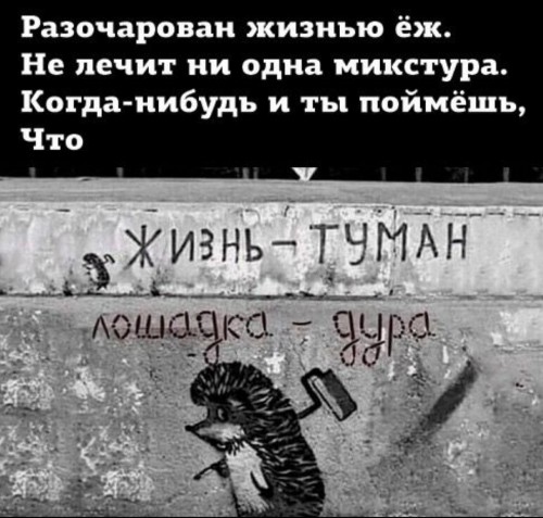 жизнь туман, лошадка дура))))) жизнь туман, лошадка дура)))))