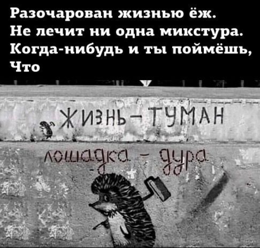 жизнь туман, лошадка дура)))))