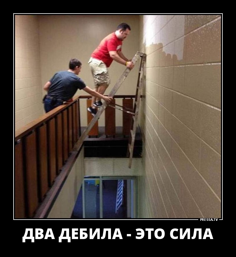 Два дебила
