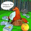 Быстрый колобок