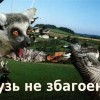 гузь не збагоен)))))