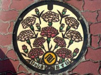 Гвоздики в городе Ишшики в префектуре Айти