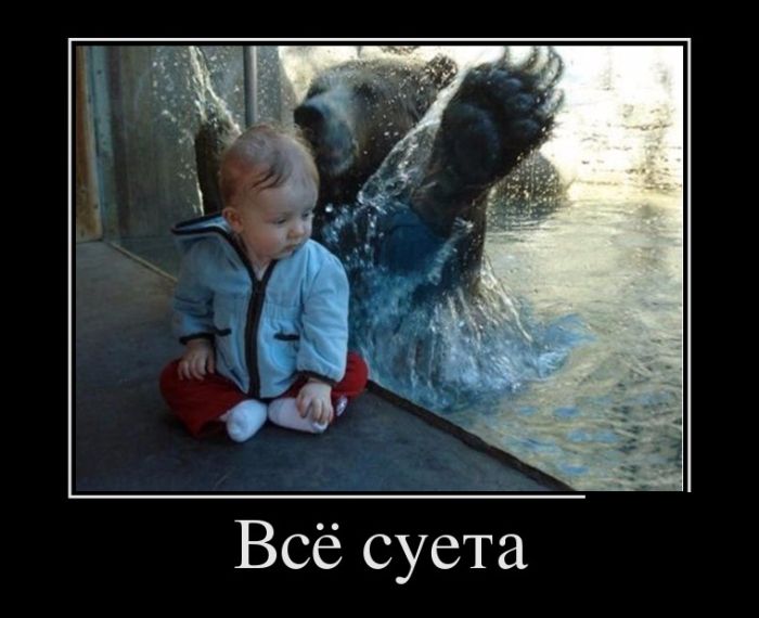 Всё суета