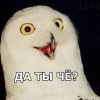 Да ты чо?