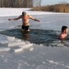 МОРЖИ