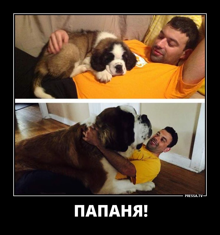 Папаня
