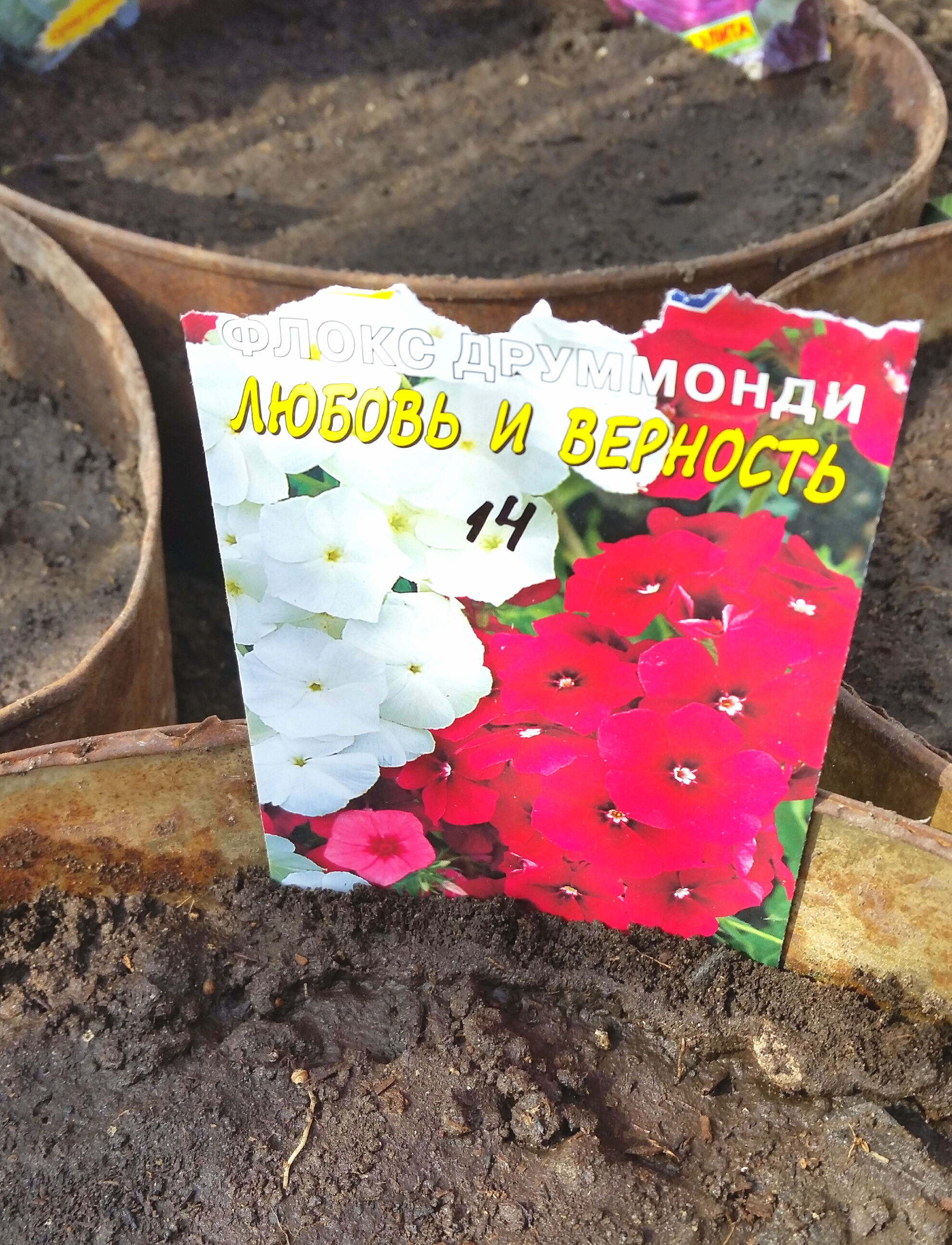 любовь и верность ... за 14))))