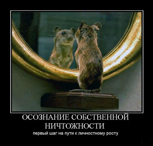 Путь к личному росту