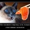 Счастливые моменты