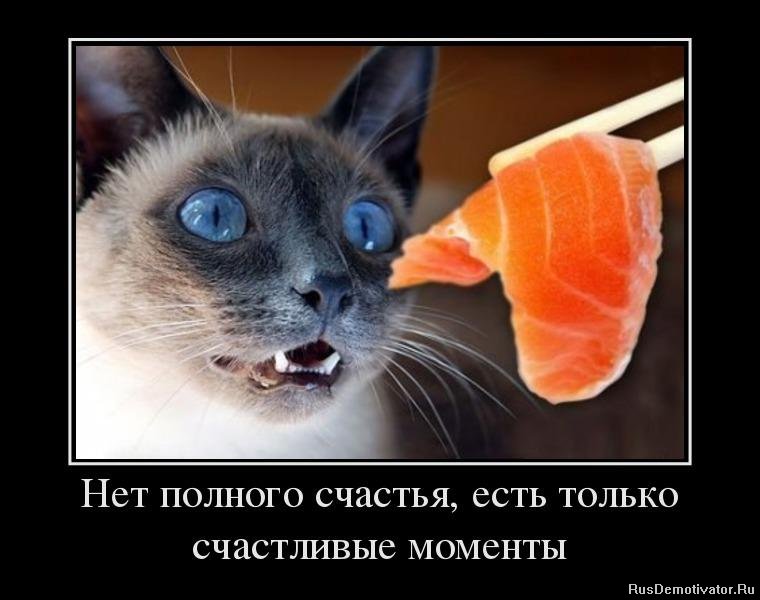 Счастливые моменты