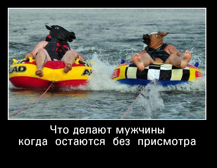 Без присмотра