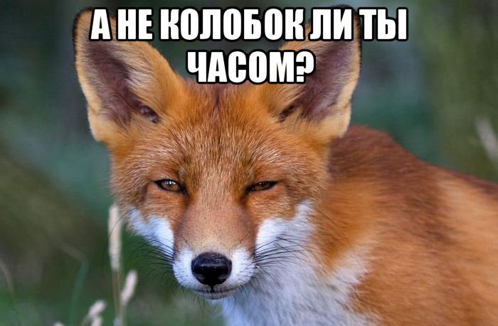 а калабок ли ты часом?))))