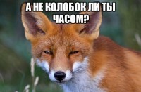 а калабок ли ты часом?))))