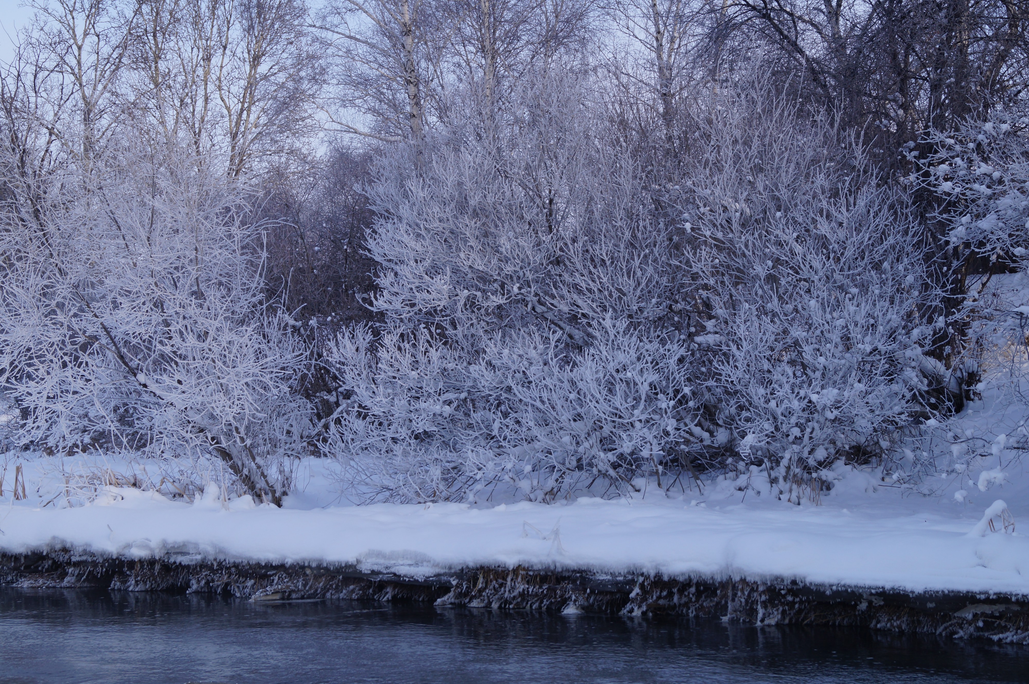 Зимние кружева